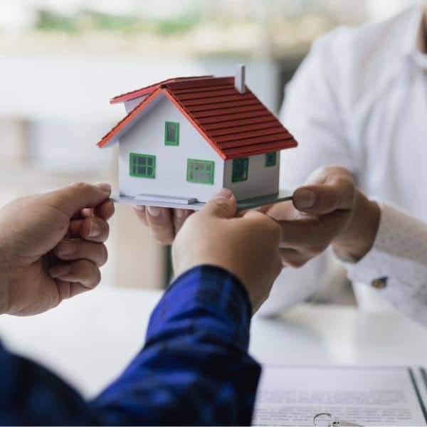 arreglar herencia en palma